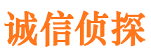 加查侦探公司